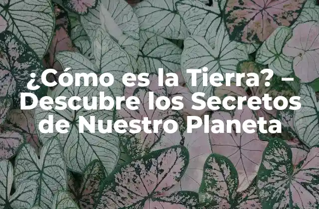 ¿cómo es la Tierra? – Descubre los Secretos de Nuestro Planeta