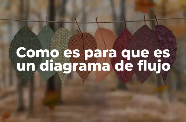Como es para que es un Diagrama de Flujo