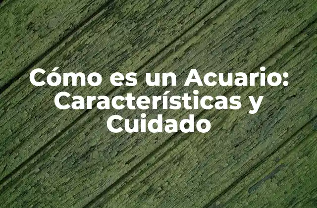 Personalidad de un Acuario