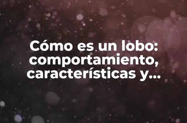 Cómo es un Lobo: Comportamiento, Características y Hábitat