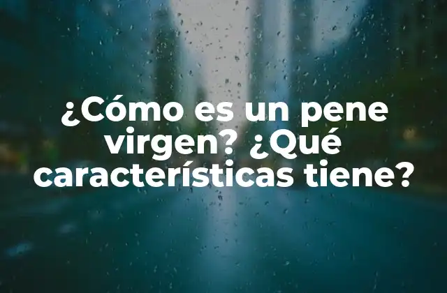 ¿cómo es un Pene Virgen? ¿qué Características Tiene?