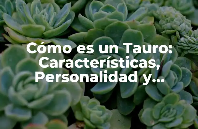 Cómo es un Tauro: Características, Personalidad y Compatibilidad