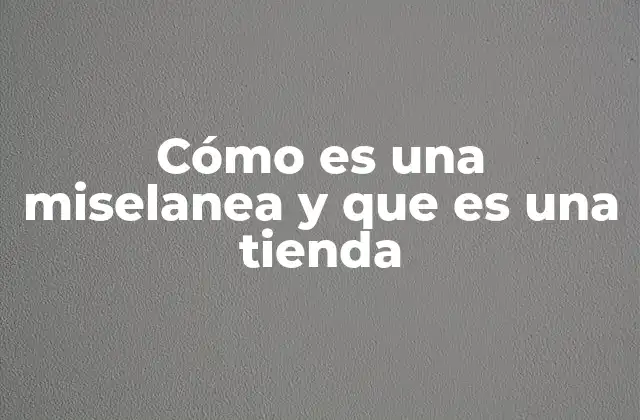 Cómo es una Miselanea y que es una Tienda