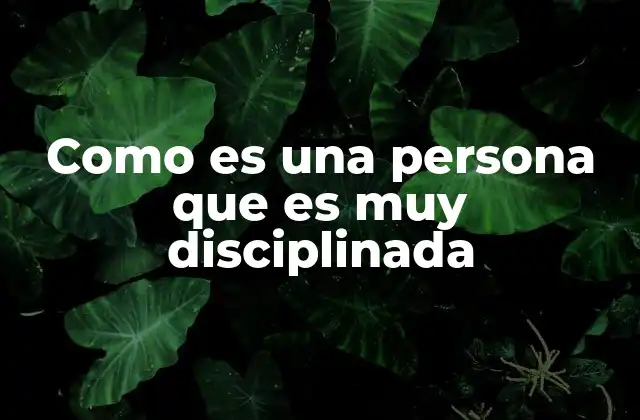 Como es una Persona que es Muy Disciplinada