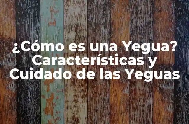 ¿cómo es una Yegua? Características y Cuidado de las Yeguas