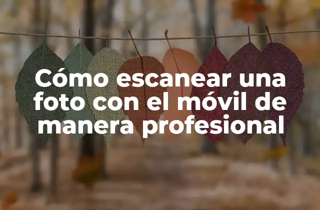 Cómo Escanear una Foto con el Móvil de Manera Profesional