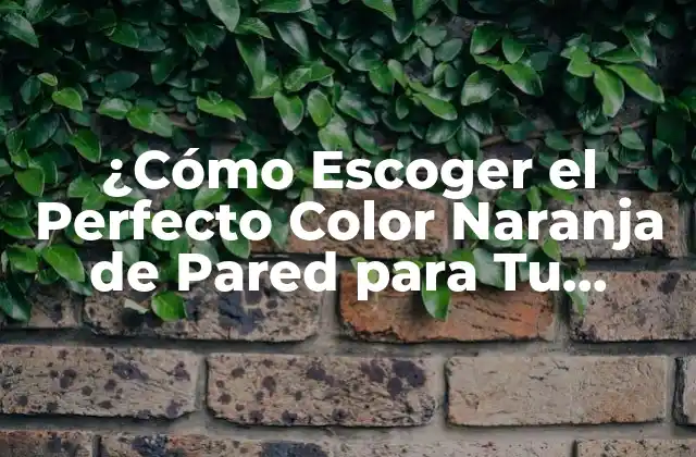 ¿cómo Escoger el Perfecto Color Naranja de Pared para Tu Hogar?