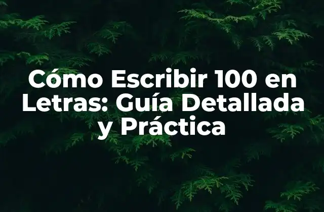 ¿Por qué es Importante Aprender a Escribir Números en Letras?