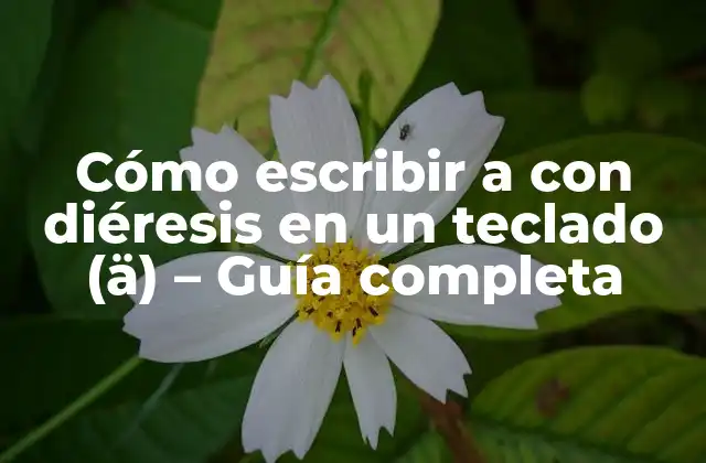 Cómo Escribir a con Diéresis en un Teclado (ä) – Guía Completa