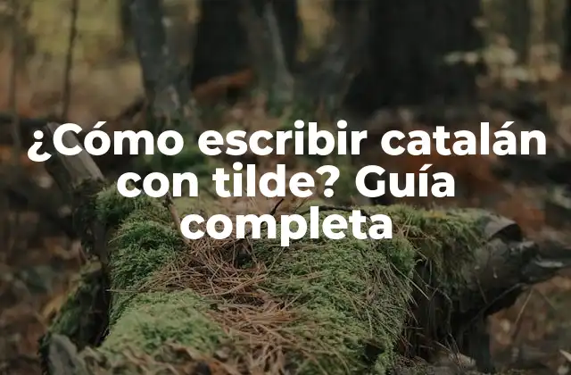 ¿cómo Escribir Catalán con Tilde? Guía Completa