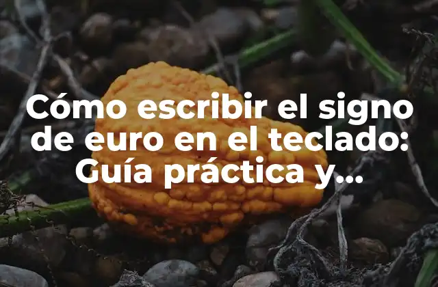 Cómo Escribir el Signo de Euro en el Teclado: Guía Práctica y Completa
