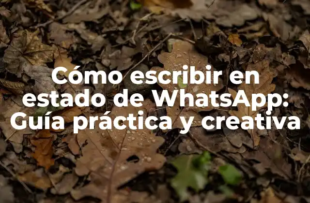Cómo Escribir en Estado de Whatsapp: Guía Práctica y Creativa 2 ¿Qué es un estado de WhatsApp y por qué es importante?