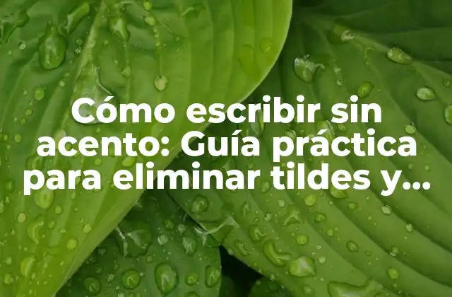 Cómo Escribir sin Acento: Guía Práctica para Eliminar Tildes y Diacríticos de Tus Textos