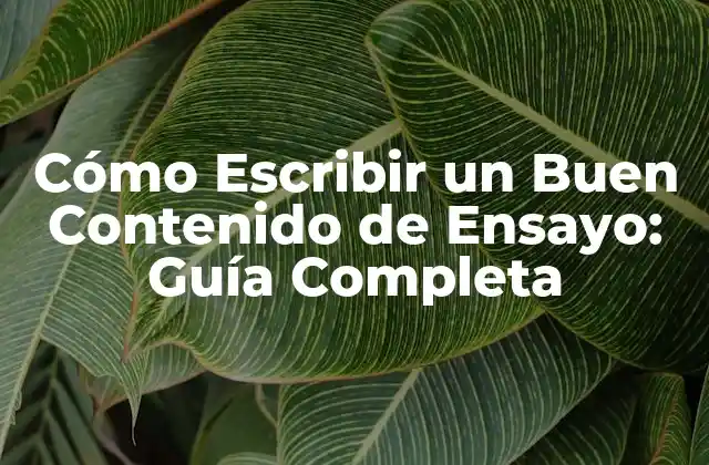 Cómo Escribir un Buen Contenido de Ensayo: Guía Completa