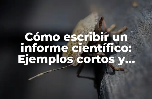 Cómo Escribir un Informe Científico: Ejemplos Cortos y Consejos Prácticos