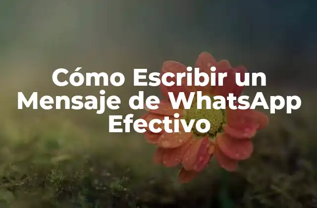 Cómo Escribir un Mensaje de Whatsapp Efectivo