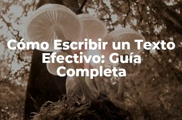 Cómo Escribir un Texto Efectivo: Guía Completa 2 ¿Por Qué Es Importante Aprender a Escribir un Texto?