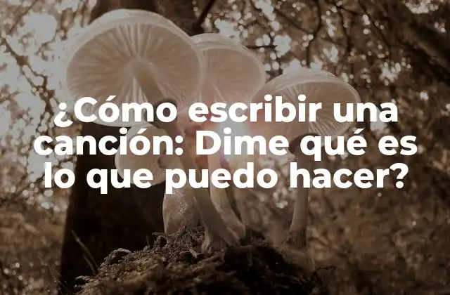 ¿cómo Escribir una Canción: Dime Qué es Lo que Puedo Hacer?