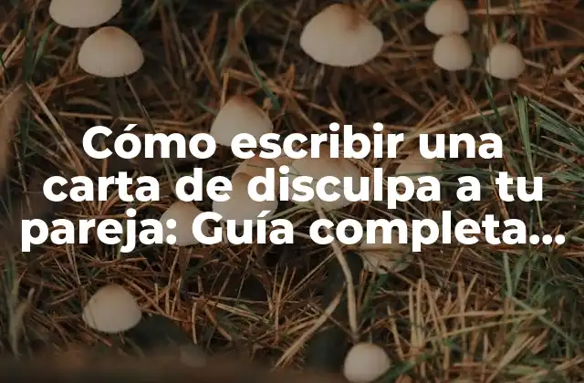Cómo Escribir una Carta de Disculpa a Tu Pareja: Guía Completa y Efectiva