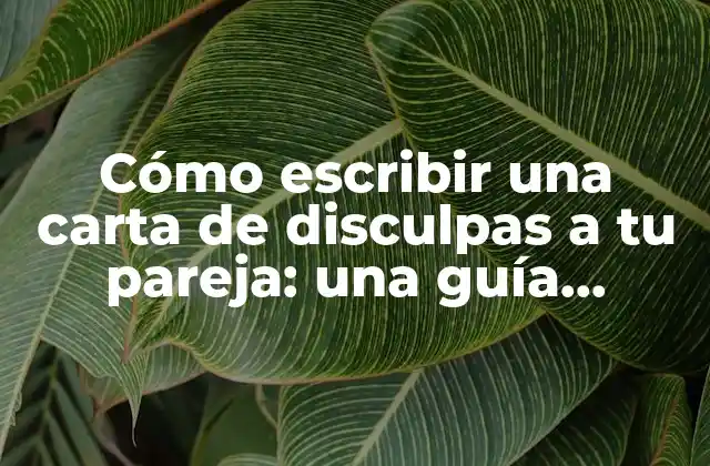 Cómo Escribir una Carta de Disculpas a Tu Pareja: una Guía Práctica y Emotiva