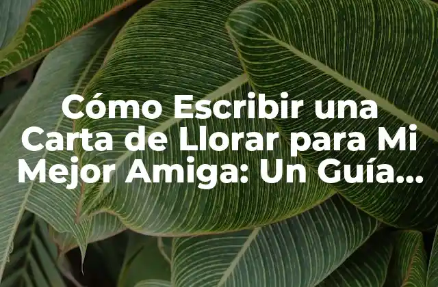 Cómo Escribir una Carta de Llorar para Mi Mejor Amiga: un Guía Emocional