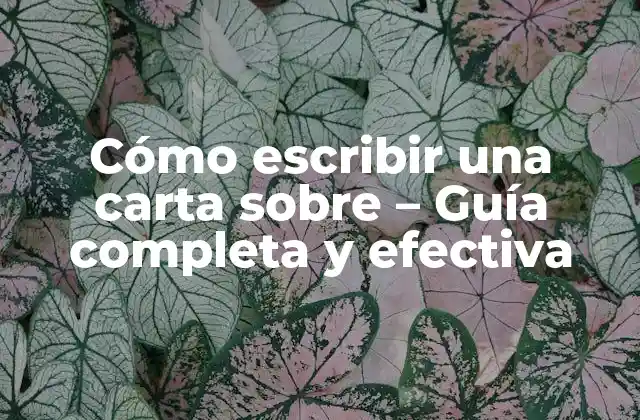 ¿Qué es una carta sobre y para qué se utiliza?