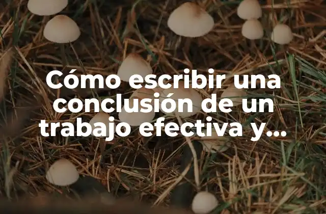 Cómo Escribir una Conclusión de un Trabajo Efectiva y Exitosa