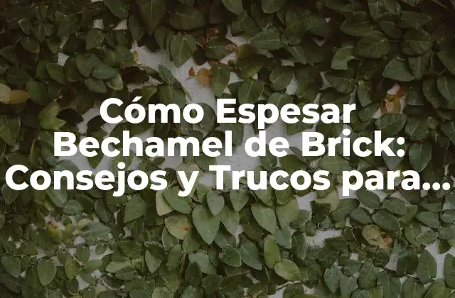 Cómo Espesar Bechamel de Brick: Consejos y Trucos para una Salsa Perfecta 2 ¿Por qué la Bechamel de Brick se Desparrama?