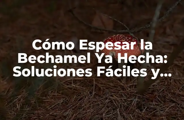 Cómo Espesar la Bechamel Ya Hecha: Soluciones Fáciles y Efectivas