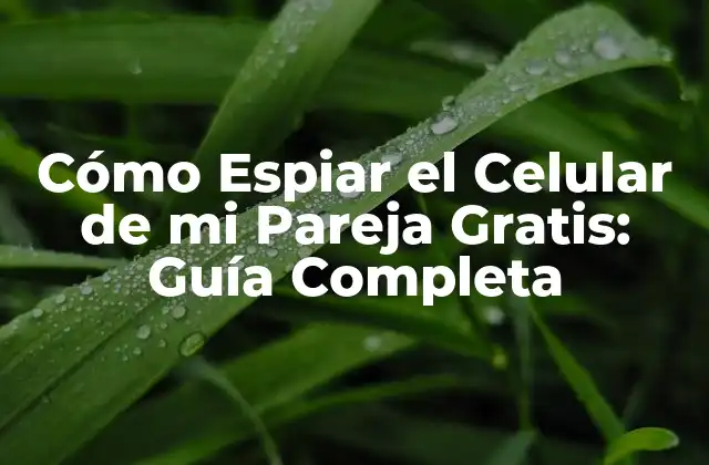 Cómo Espiar el Celular de Mi Pareja Gratis: Guía Completa