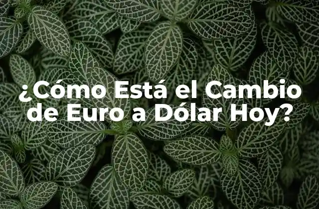 ¿cómo Está el Cambio de Euro a Dólar Hoy?