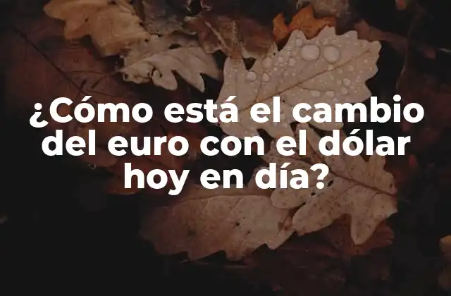 ¿cómo Está el Cambio Del Euro con el Dólar Hoy en Día?