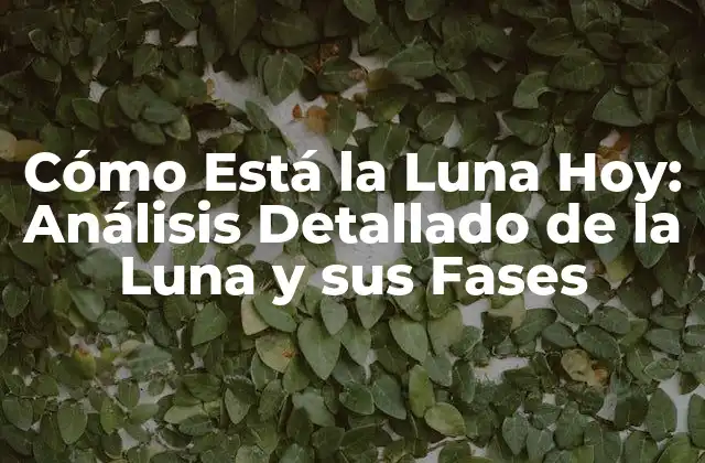 Cómo Está la Luna Hoy: Análisis Detallado de la Luna y Sus Fases