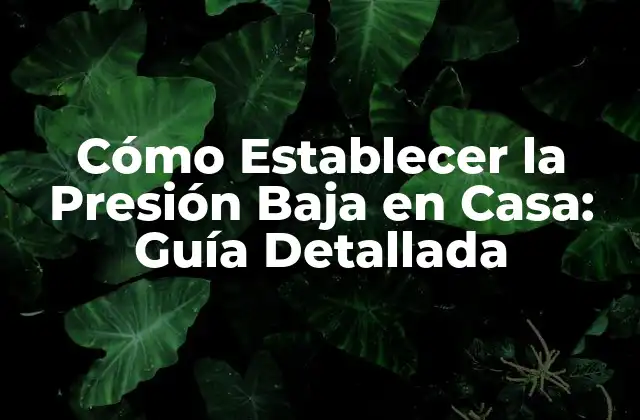 Cómo Establecer la Presión Baja en Casa: Guía Detallada