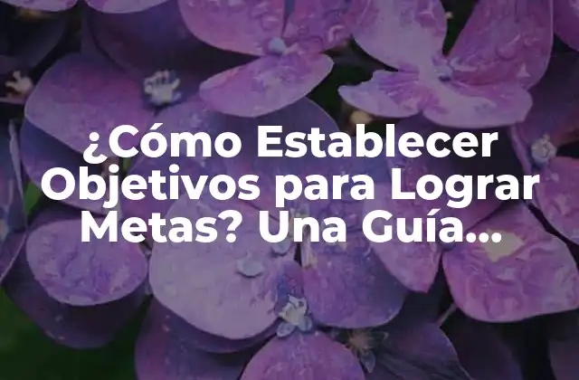 ¿Por qué son Importantes los Objetivos para Lograr Metas?