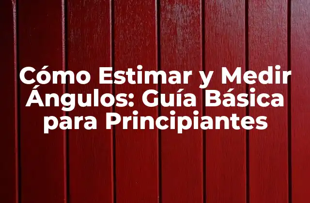¿Qué son los Ángulos y por qué son Importantes?