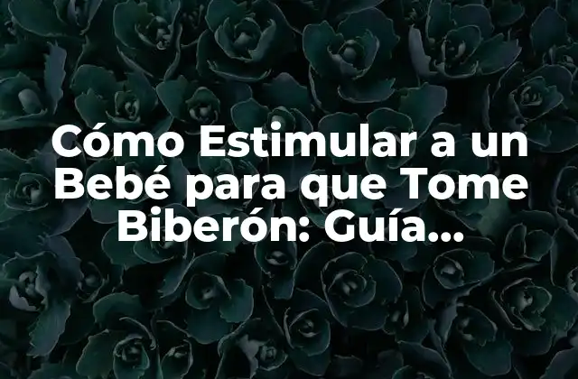 Cómo Estimular a un Bebé para que Tome Biberón: Guía Completa