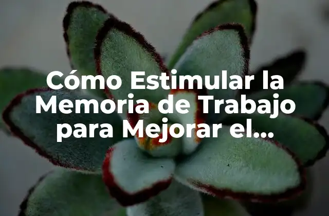 Cómo Estimular la Memoria de Trabajo para Mejorar el Rendimiento Cognitivo 2 ¿Qué es la Memoria de Trabajo y Cómo Funciona?