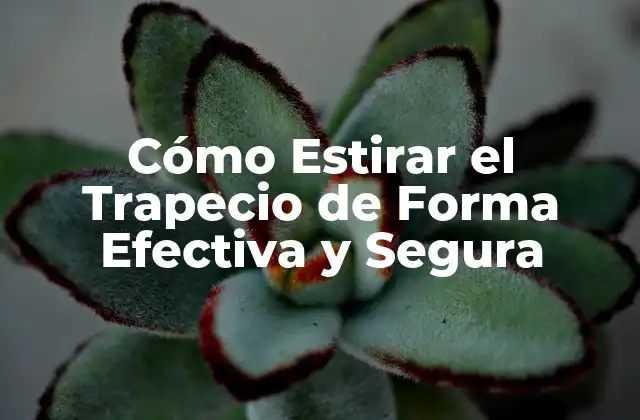 Cómo Estirar el Trapecio de Forma Efectiva y Segura
