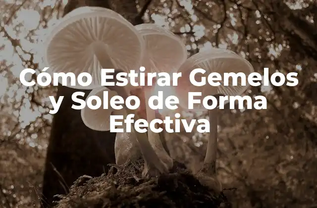 ¿Por qué es Importante Estirar Gemelos y Soleo?