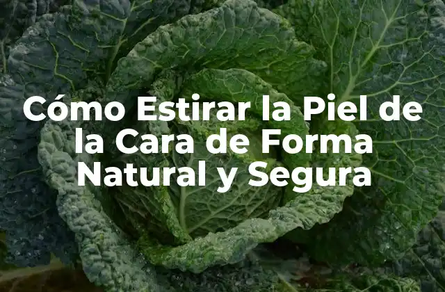 Cómo Estirar la Piel de la Cara de Forma Natural y Segura