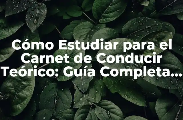 Cómo Estudiar para el Carnet de Conducir Teórico: Guía Completa y Actualizada