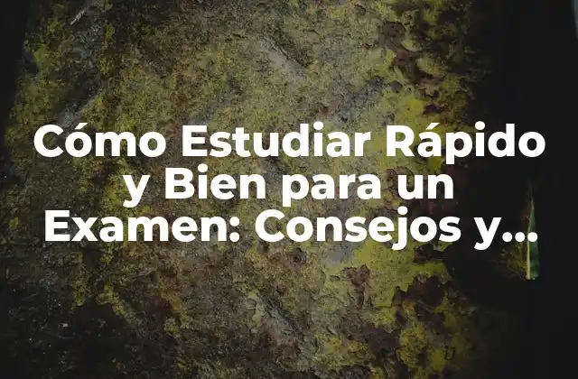 Cómo Estudiar Rápido y Bien para un Examen: Consejos y Estrategias Efectivas