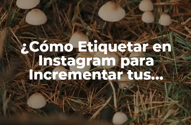 ¿cómo Etiquetar en Instagram para Incrementar Tus Seguidores y Ventas?
