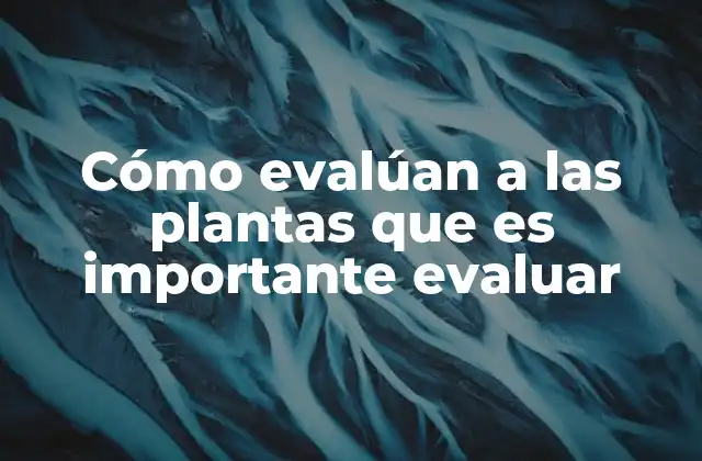 Cómo Evalúan a las Plantas que es Importante Evaluar