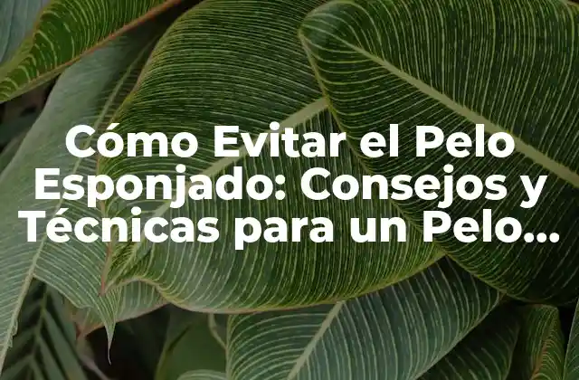 Cómo Evitar el Pelo Esponjado: Consejos y Técnicas para un Pelo Saludable