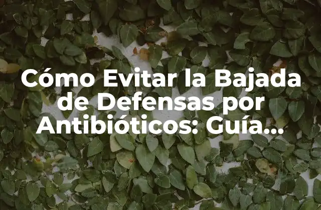 Cómo Evitar la Bajada de Defensas por Antibióticos: Guía Completa