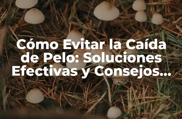 Cómo Evitar la Caída de Pelo: Soluciones Efectivas y Consejos Prácticos 2 Causas Comunes de la Caída de Pelo