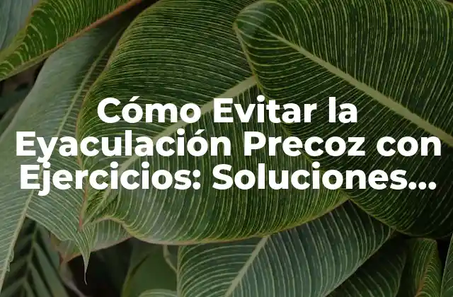 Cómo Evitar la Eyaculación Precoz con Ejercicios: Soluciones Naturales y Efectivas