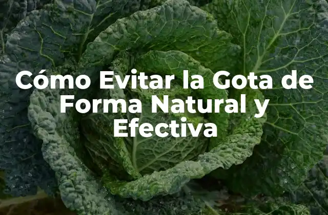 Cómo Evitar la Gota de Forma Natural y Efectiva